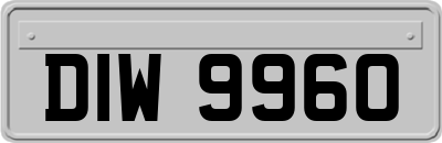DIW9960