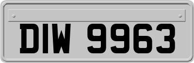 DIW9963