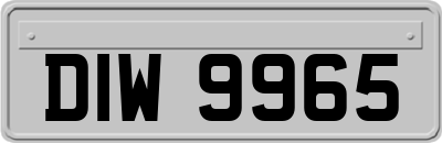 DIW9965