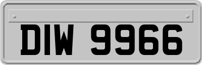 DIW9966