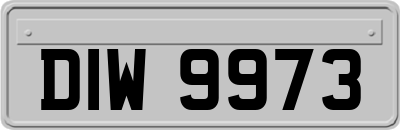 DIW9973
