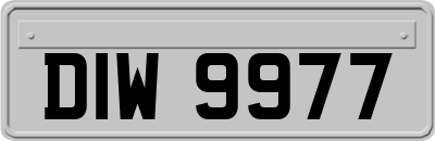 DIW9977