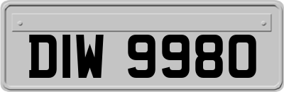 DIW9980