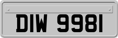 DIW9981