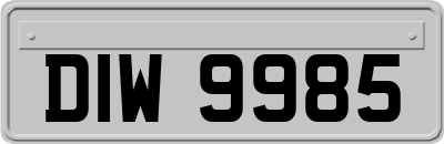 DIW9985