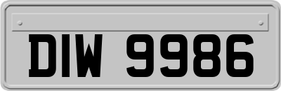 DIW9986