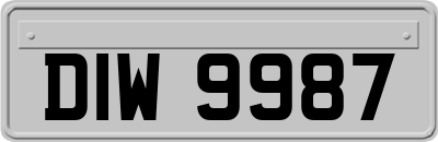 DIW9987