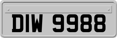 DIW9988