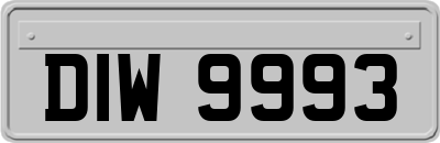 DIW9993