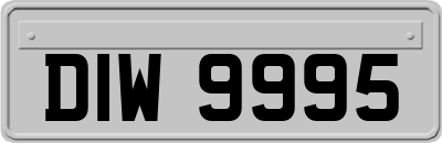 DIW9995