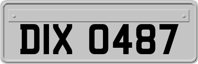 DIX0487