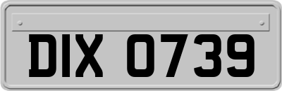 DIX0739