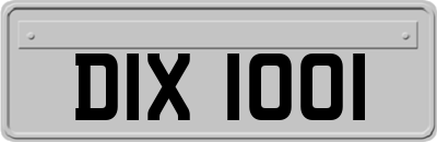 DIX1001