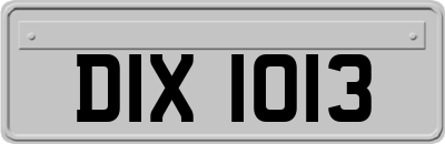 DIX1013