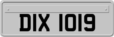 DIX1019