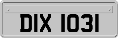 DIX1031