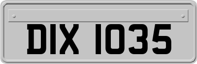 DIX1035