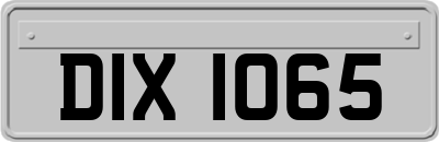 DIX1065