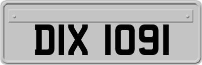 DIX1091
