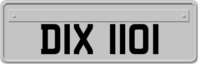 DIX1101