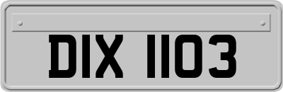 DIX1103