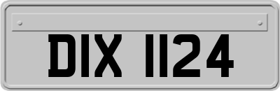 DIX1124
