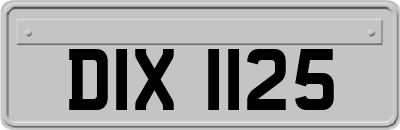 DIX1125