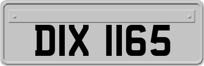 DIX1165