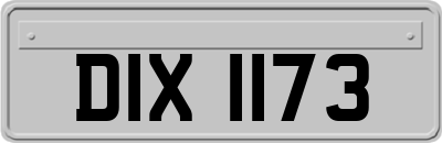 DIX1173
