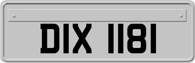DIX1181