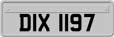 DIX1197