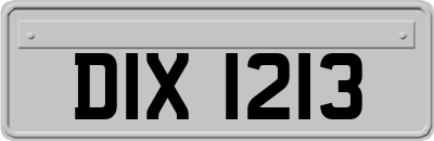 DIX1213