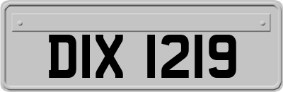 DIX1219