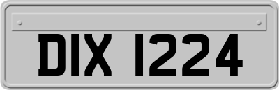 DIX1224