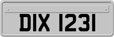 DIX1231