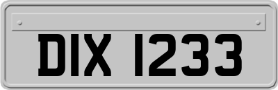 DIX1233