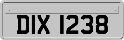 DIX1238