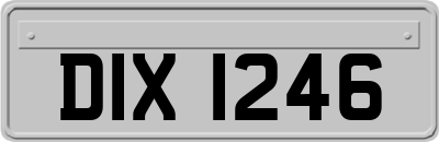 DIX1246