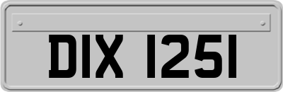DIX1251