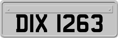 DIX1263