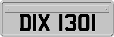 DIX1301