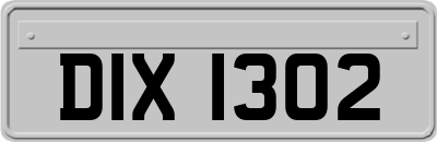 DIX1302