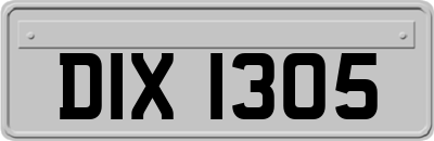 DIX1305