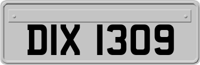 DIX1309