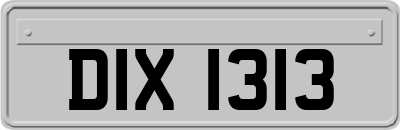 DIX1313