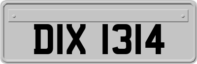 DIX1314