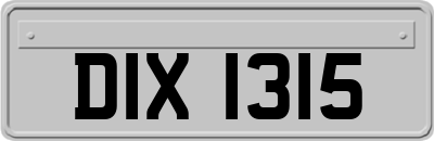 DIX1315