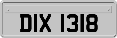 DIX1318