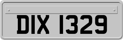 DIX1329