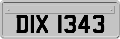 DIX1343